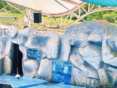 -泉州海丝野生动物世界