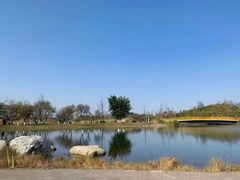 -白鹭湾湿地公园