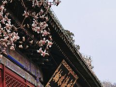 -潭柘寺景区