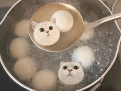 -叁拾壹克饺子·东北菜(国贸店)