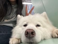 -怪兽屋·羊驼·猫咖·狗咖(俊华广场店)