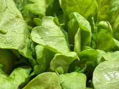 -芦月轩羊蝎子(劲松店)