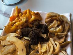 -蘑统田下·野生菌火锅