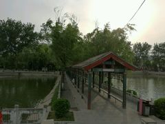 -西海子公园