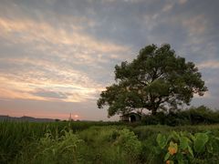 -江郎山风景名胜区