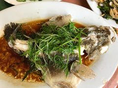 清蒸活鱼-荣兴河鲜楼(江口店)