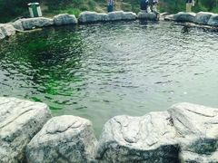 -白洋淀景区