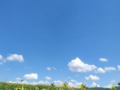 -光明小镇欢乐田园