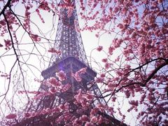 -埃菲尔铁塔