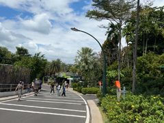 -圣淘沙天际线斜坡滑车