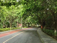 -水濂山森林公园