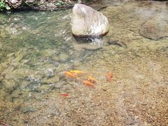 -雁荡山三折瀑景区