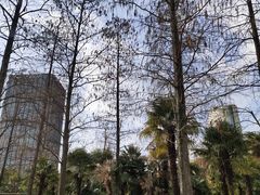 -新虹桥中心花园