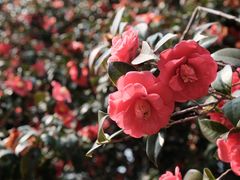 -玄武湖景区-情侣园游乐场