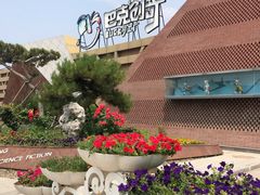 -巴克创奇梦工厂