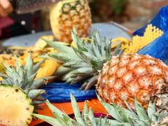 -西双版纳傣族园