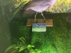 -下渚湖国家湿地公园科普馆