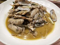 蛏子-西新饭店(城中店)