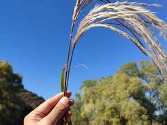 -北京金海湖景区