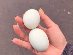 -蟹天蟹地农家菜·阳澄湖大闸蟹(浅水湾店)