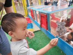 -萌宠亲子动物乐园(槐房万达店)