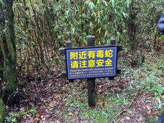 -神农架景区