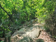 -南山植物园