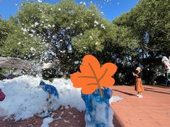 -同里湖度假村(二期店)