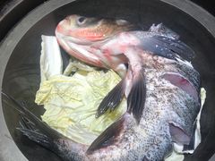 野生胖头鱼-满兴咱妈烀饼铁锅炖(兰州北街店)