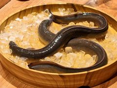 -炉胜·炉端烧·居酒屋