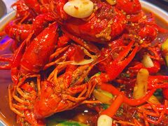 -杨氏青龙虾·羊蝎子(托乐嘉店)