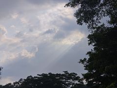 -东莞植物园