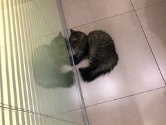 -美迦爱-牙专科·兔科·骨科诊疗中心(北苑店)