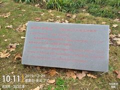 -武汉知音号