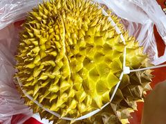 金枕头榴莲-鲜力达果品批发直销(青山店)