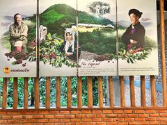 -DOI CHAANG Caffè Maesuai