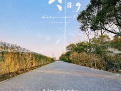 -上海滨江森林公园