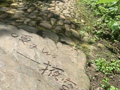 -桂林古东瀑布景区