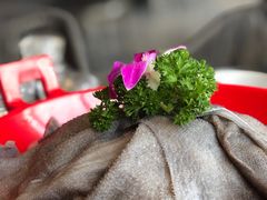 -长嘉·河图火锅(长嘉汇江景旗舰店)