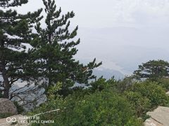 -蔡家酒楼(一德街店)