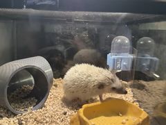 -太平洋海底世界