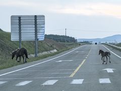-莫尔道嘎国家森林公园