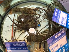 -强记海鲜·大排档(蛇口新街店)
