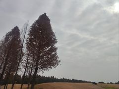-滆湖低碳生态公园