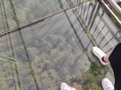 -龙里油画大草原旅游区