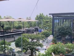 -蘇河湾·新鲁菜·泰山宴(泰山店)