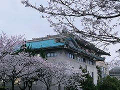 -武汉大学-樱园