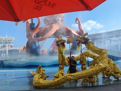 -三亚红色娘子军演艺公园景区