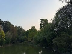 -腾冲和顺柏联酒店