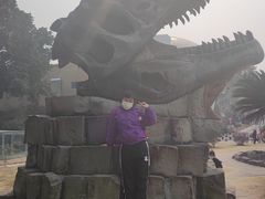 -自贡恐龙博物馆